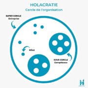 Schéma d'organisation de l'holacratie